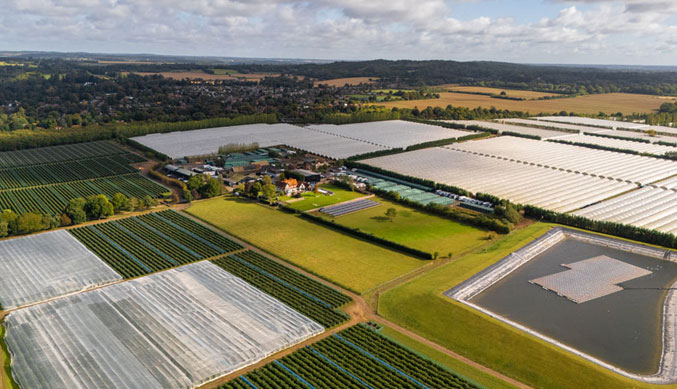 sheeplands farm